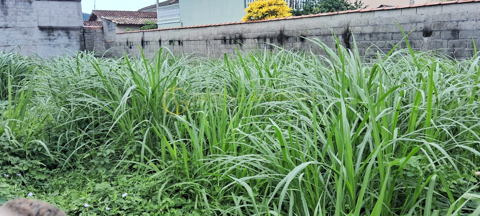 TERRENO A VENDA NA PRAIA MARTIM DE SÁ - Foto 2