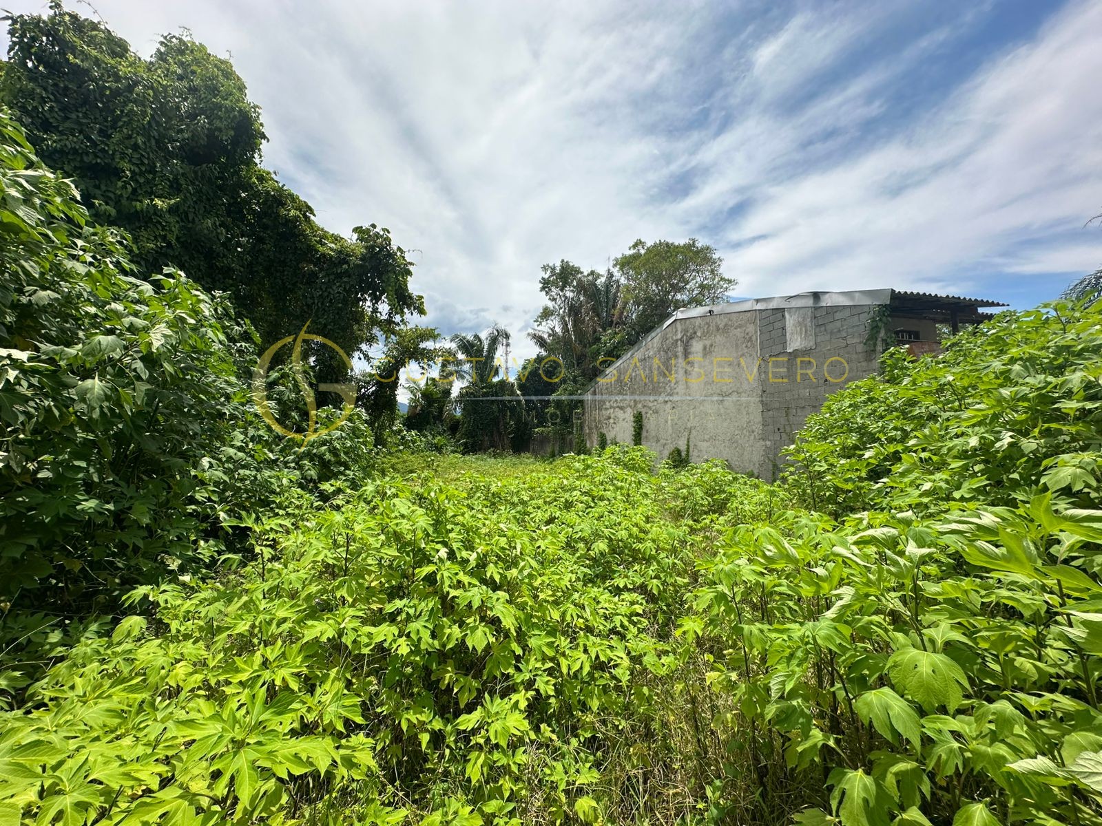 OPORTUNIDADE - TERRENO 500 METROS - PRAIA DAS PALMEIRAS - CARAGUATATUBA-SP - Foto 3