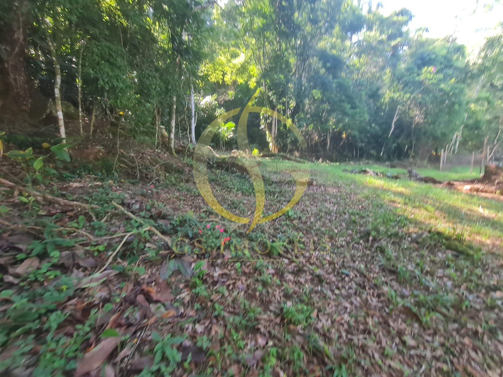 Terreno com vista Mar na Martim de Sá - Foto 2