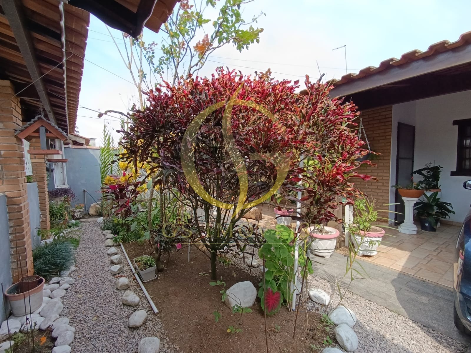 Casa térrea com 3 dormitórios, área gourmet, piscina, garagem coberta na Praia das Palmeiras - Foto 2